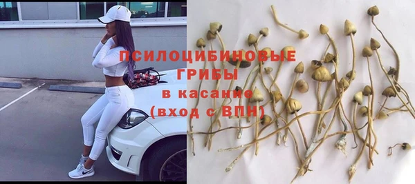 сатива Костерёво