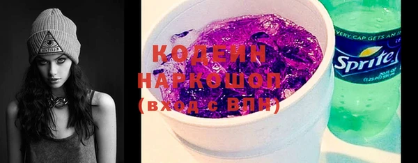 индика Козловка
