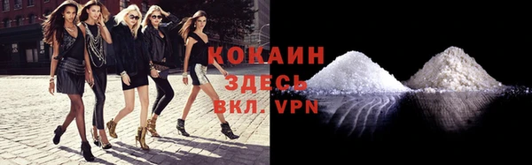 прущие крисы Карпинск