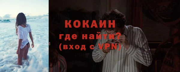 индика Козловка
