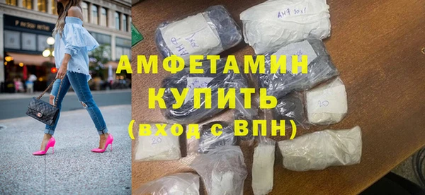 индика Весьегонск