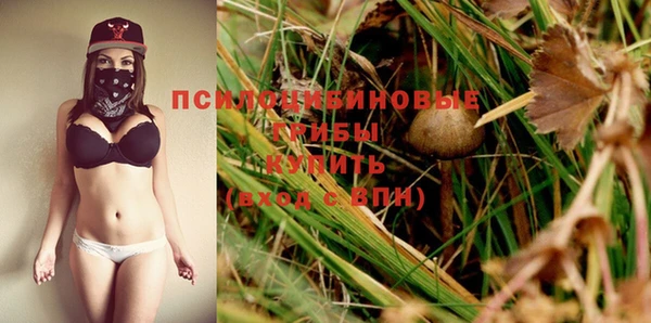 индика Козловка