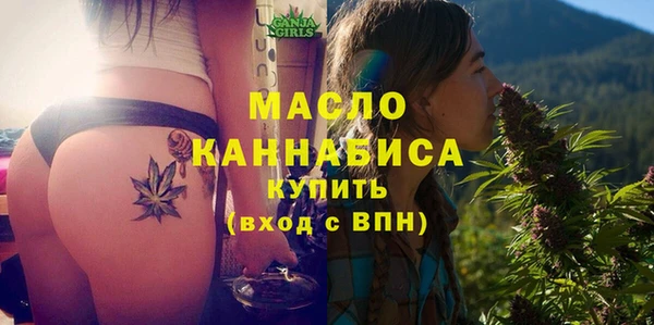 индика Козловка