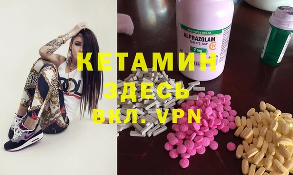 индика Козловка
