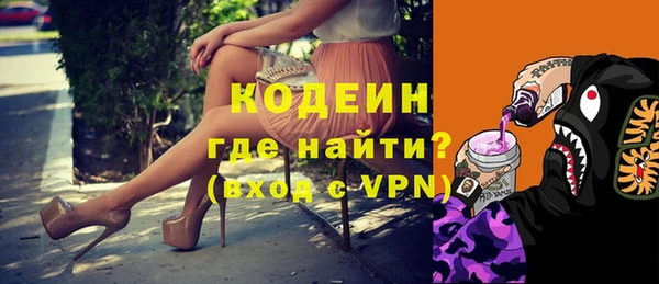 индика Козловка