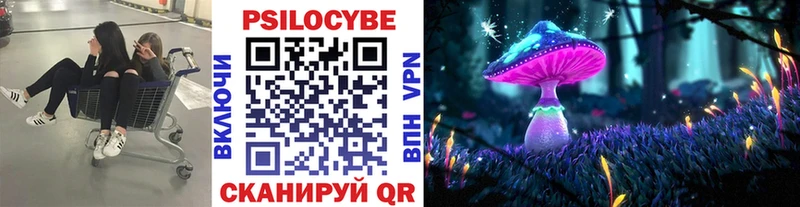 МЕГА ссылки  Кола  Псилоцибиновые грибы Magic Shrooms  наркошоп 