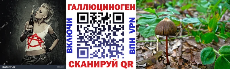 Галлюциногенные грибы GOLDEN TEACHER Кола
